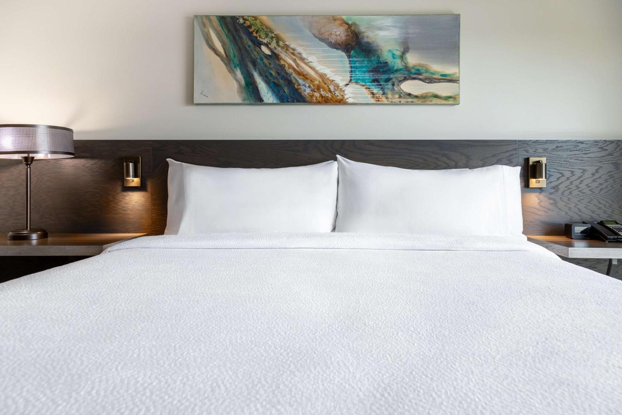 Hilton Garden Inn Фредериктън Екстериор снимка